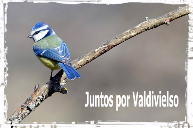 Juntos por Valdivielso